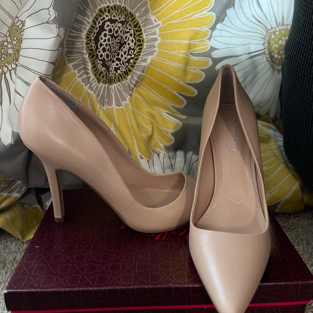 Cute point toe nude heel